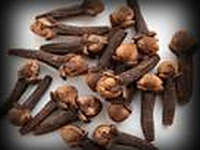 Clove